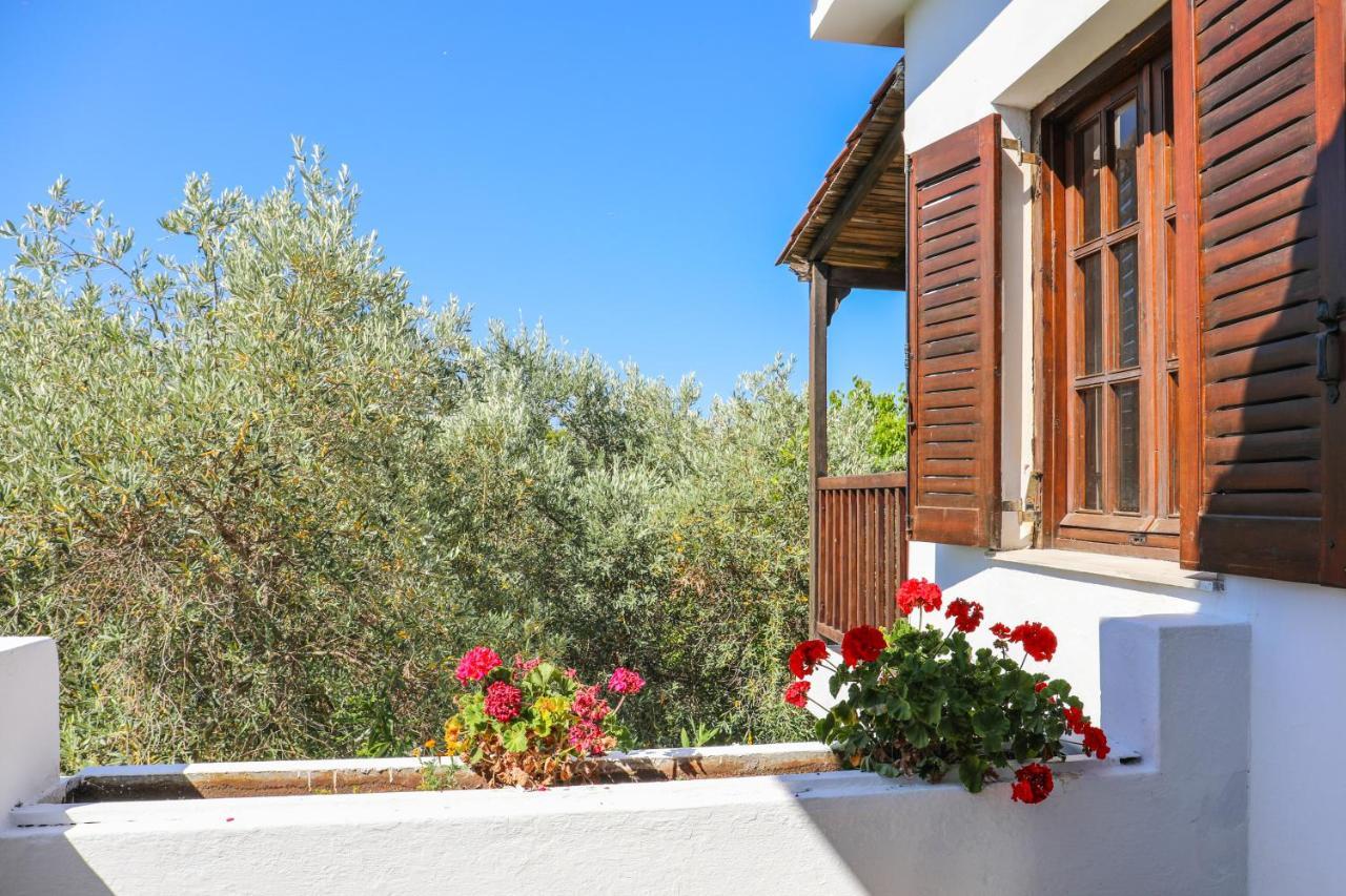 Pandora Studios Skiathos Колиос Экстерьер фото
