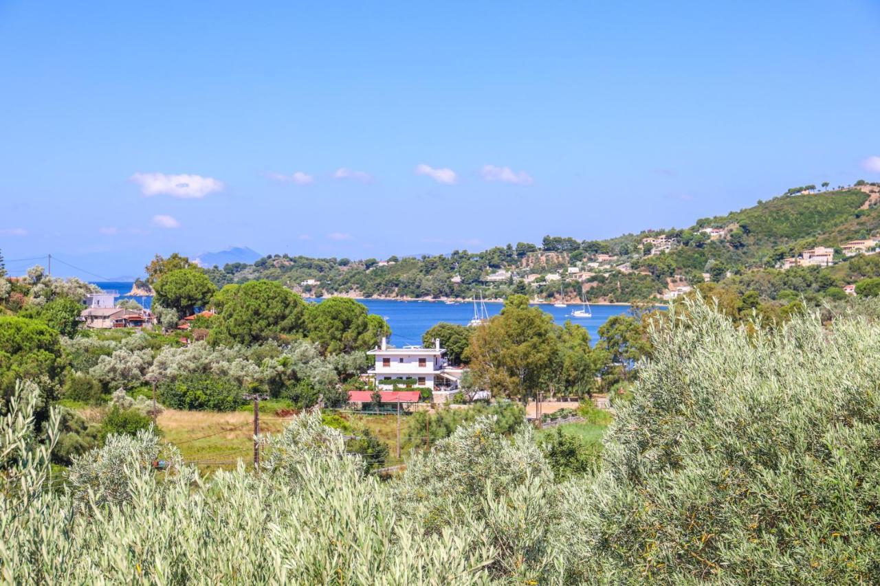Pandora Studios Skiathos Колиос Экстерьер фото