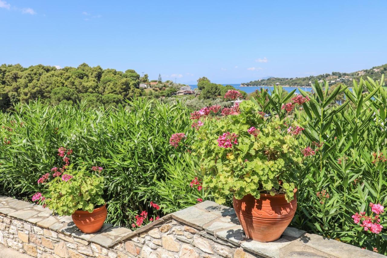 Pandora Studios Skiathos Колиос Экстерьер фото